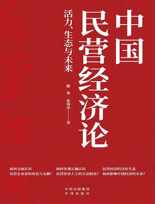 中国民营经济论