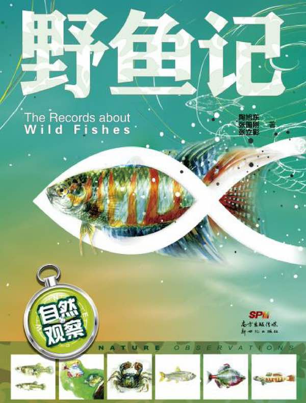 自然观察：野鱼记