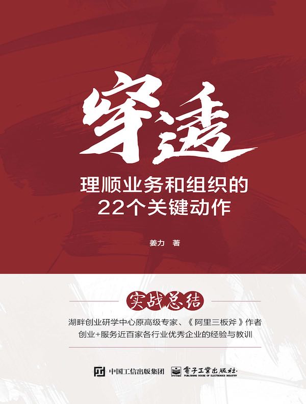 穿透：理顺业务和组织的22个关键动作
