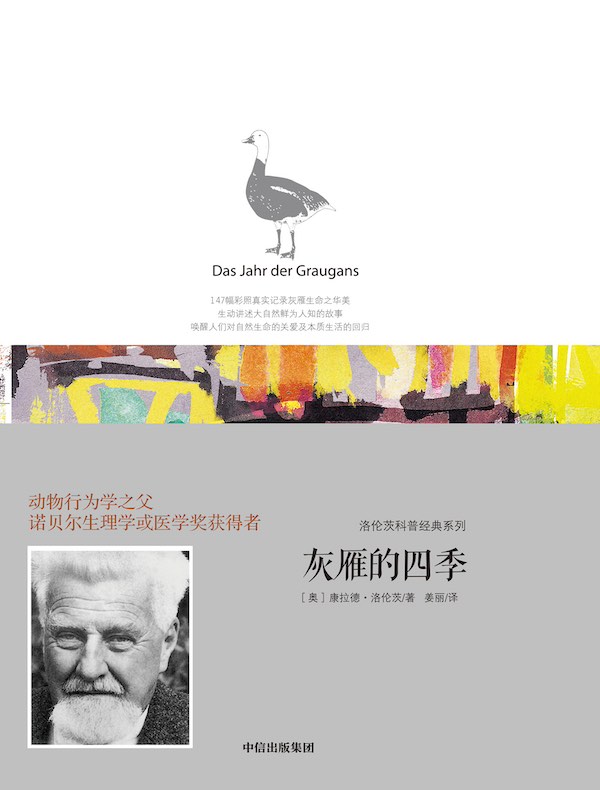 洛伦茨科普经典系列：灰雁的四季