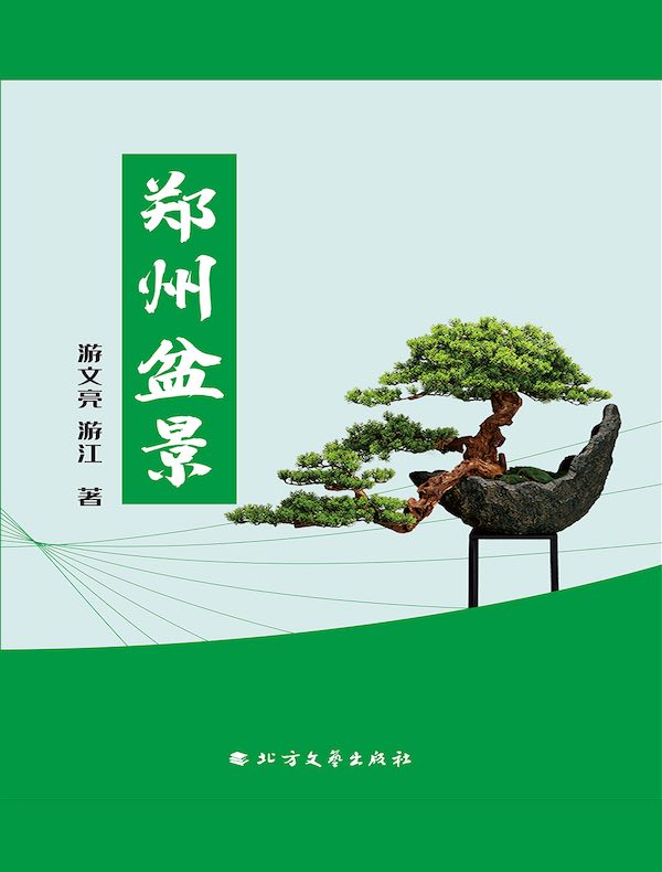 郑州盆景