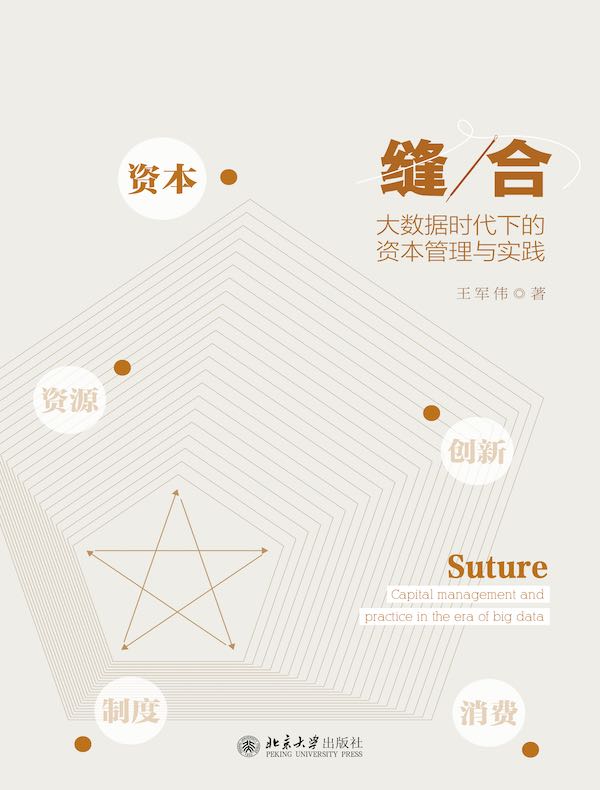 缝合：大数据时代下的资本管理与实践