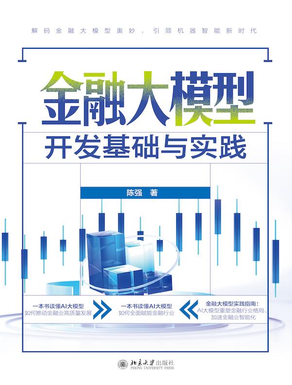 金融大模型开发基础与实践