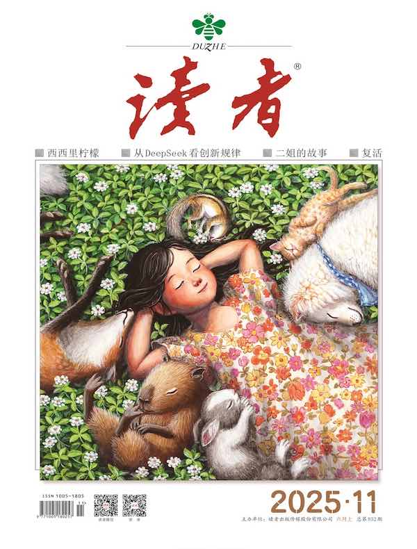 读者（2025年第11期）
