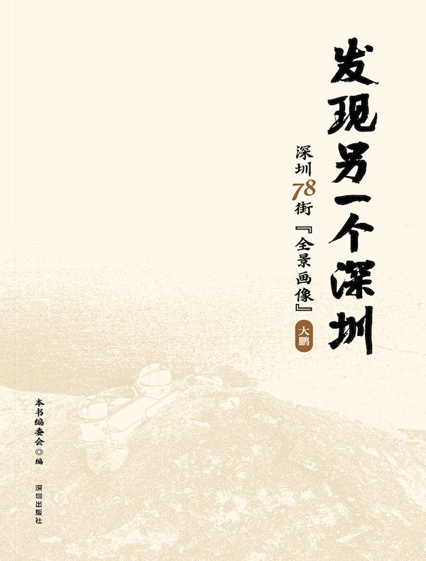 发现另一个深圳：深圳78街“全景画像”·大鹏