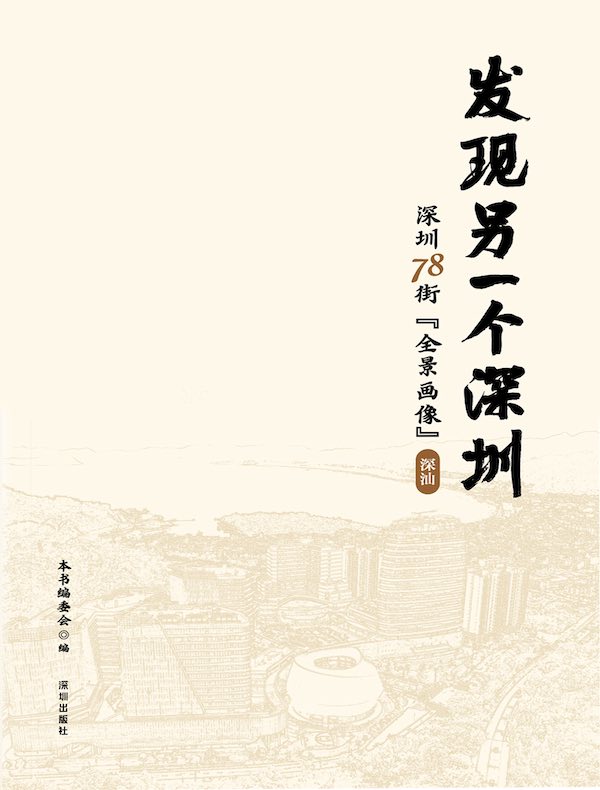 发现另一个深圳：深圳78街“全景画像”·深汕