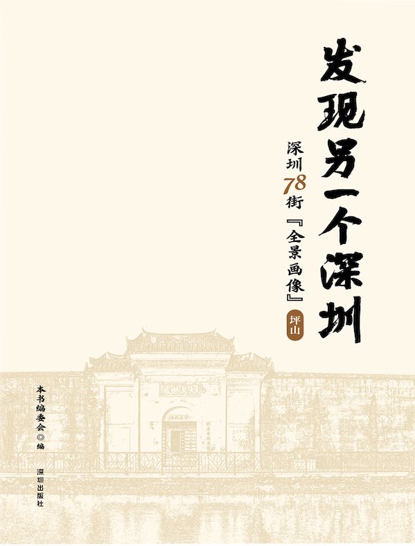 发现另一个深圳:深圳78街“全景画像”·坪山