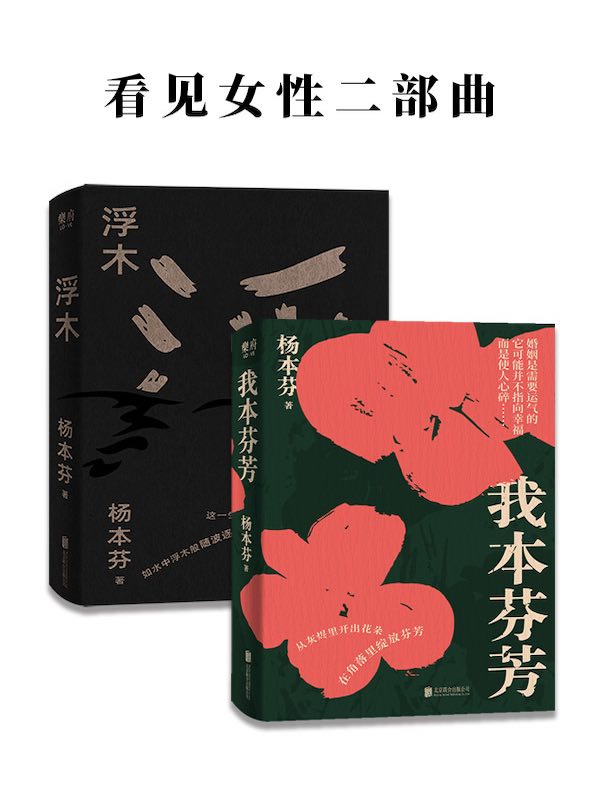 杨本芬：看见女性二部曲