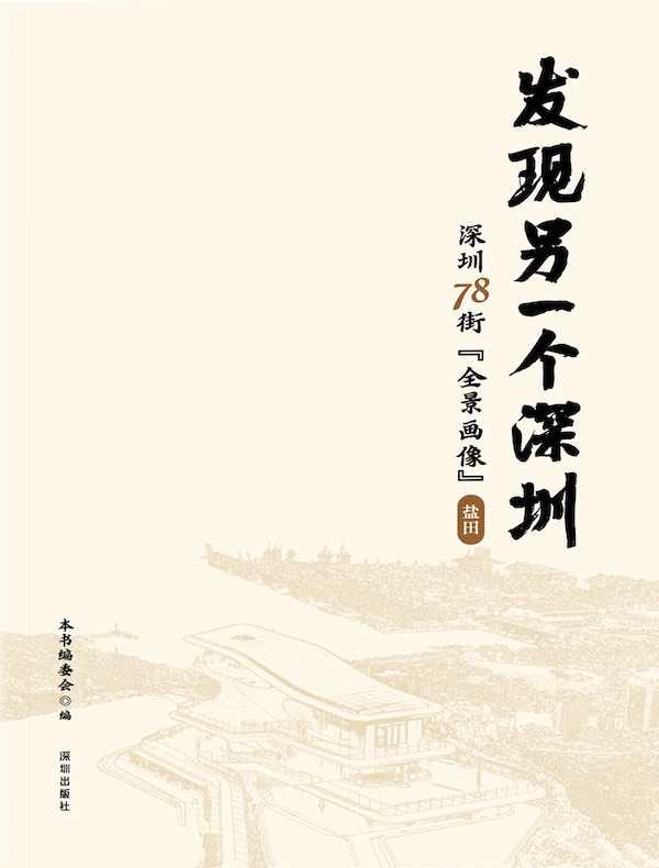 发现另一个深圳：深圳78街“全景画像”·盐田