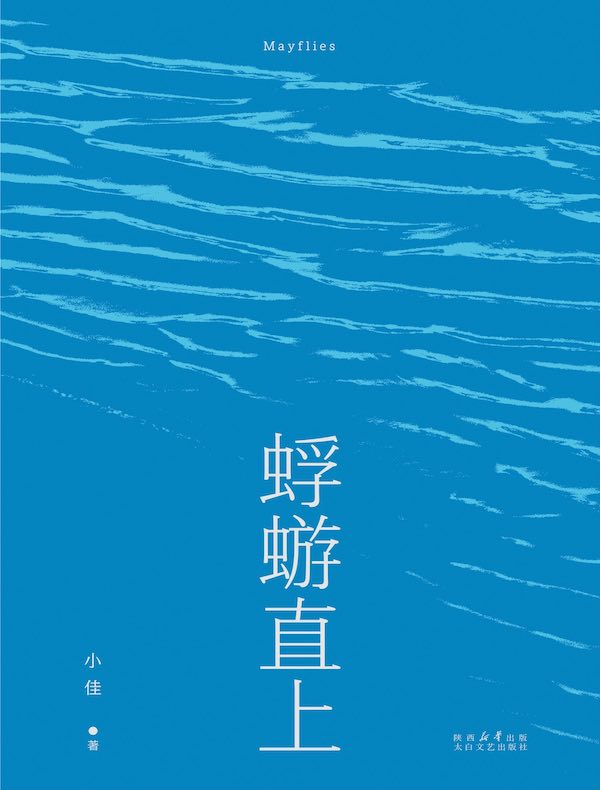 蜉蝣直上