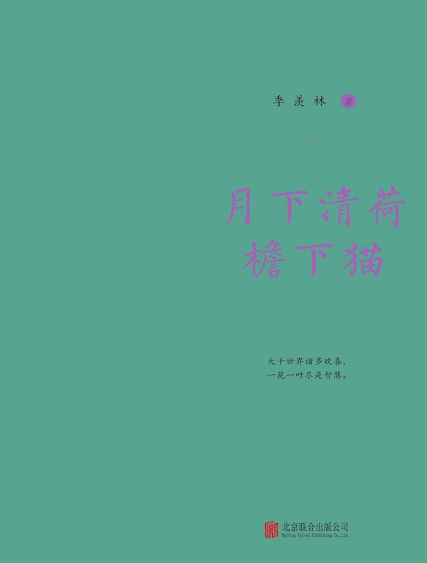月下清荷檐下猫