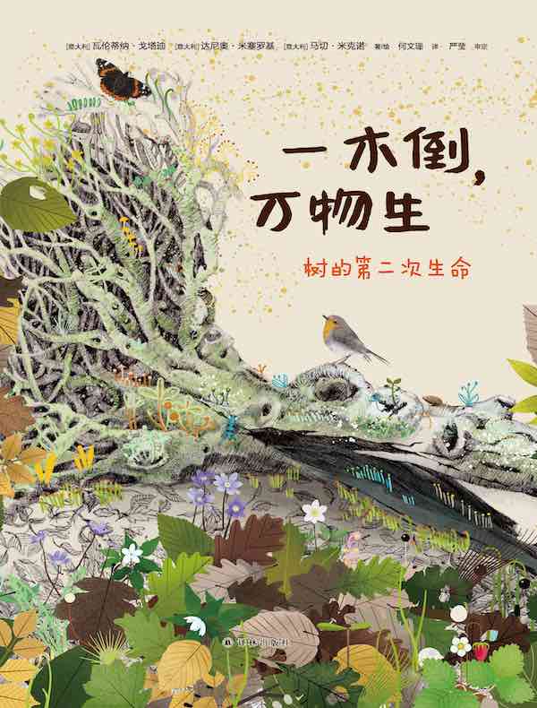 一木倒，万物生：树的第二次生命
