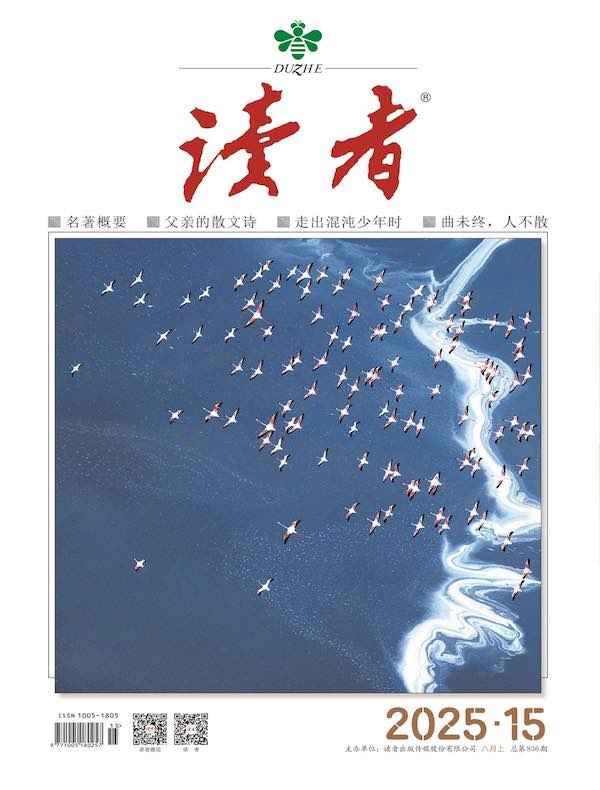 读者（2025年第15期）