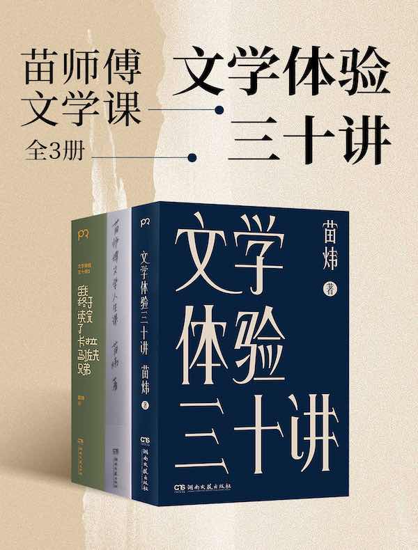 苗师傅文学课：文学体验三十讲（全三册）