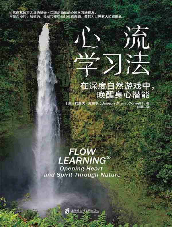 心流学习法