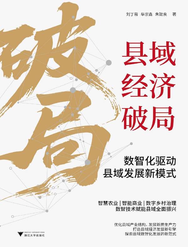 县域经济破局：数智化驱动县域发展新模式
