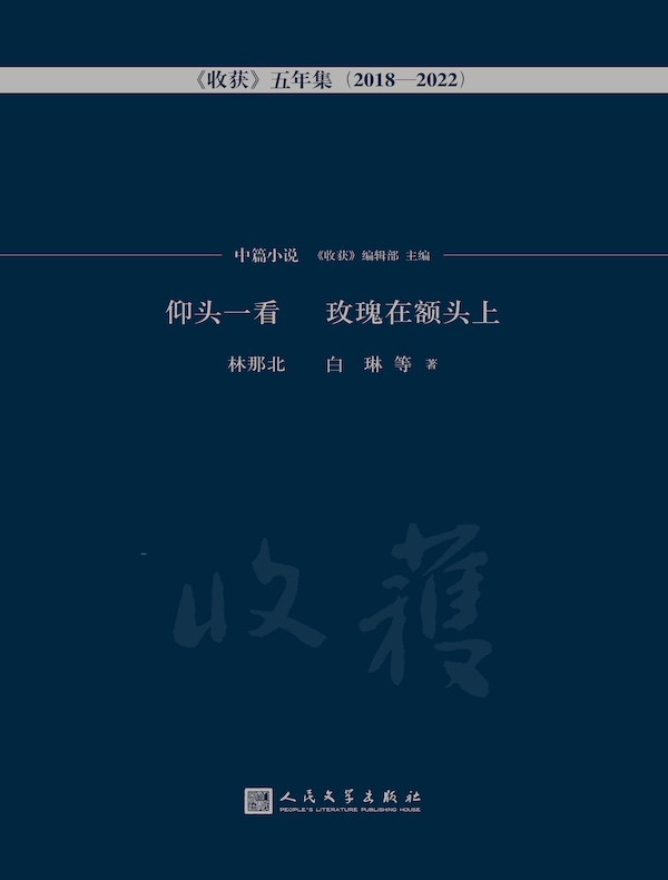 仰头一看 玫瑰在额头上·中篇小说卷（《收获》五年集2018—2022）