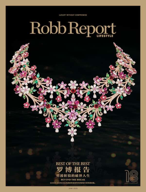 时尚甄选 Robb Report 中文版（2025年第6期）