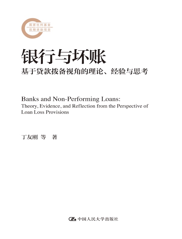 银行与坏账：基于贷款拨备视角的理论、经验与思考