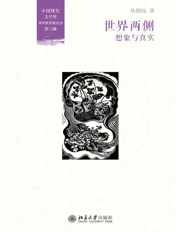 世界两侧：想象与真实