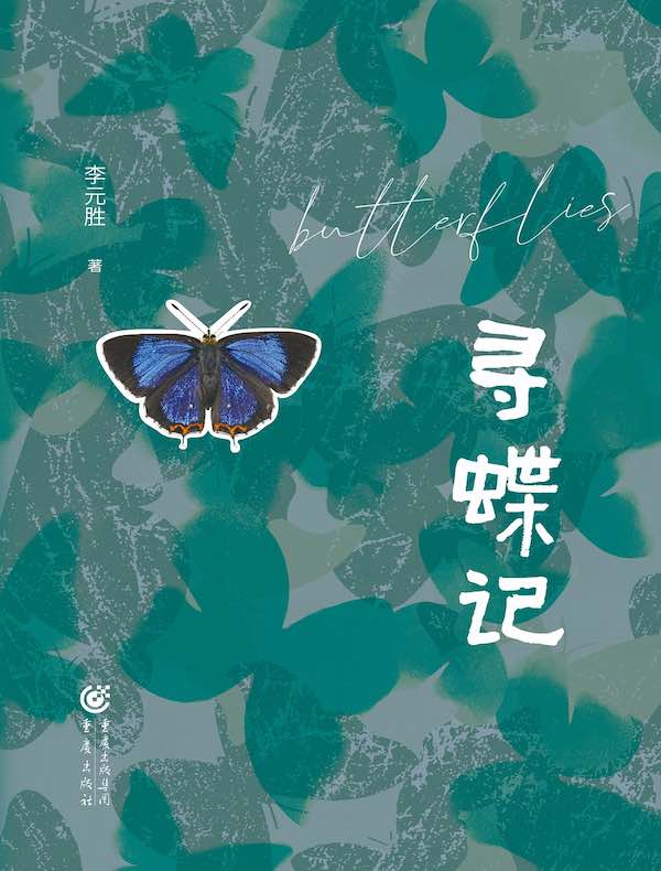 寻蝶记