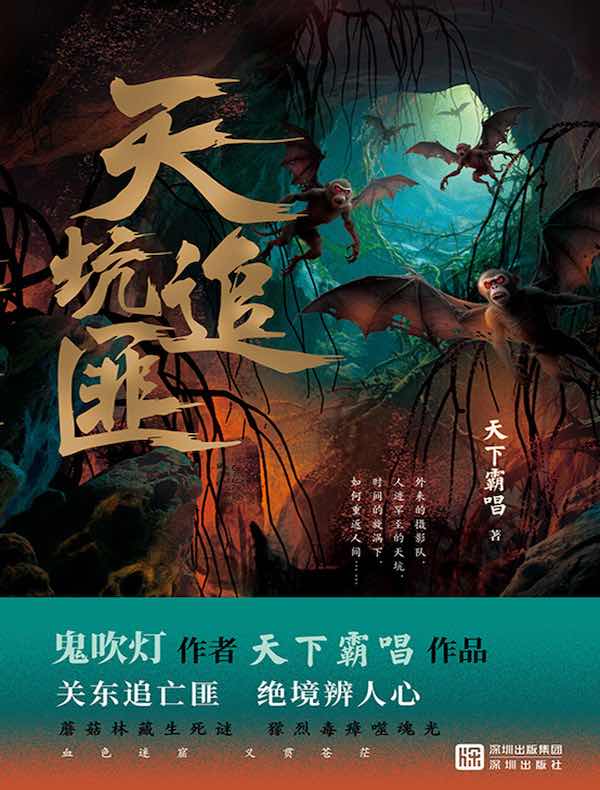 天坑追匪