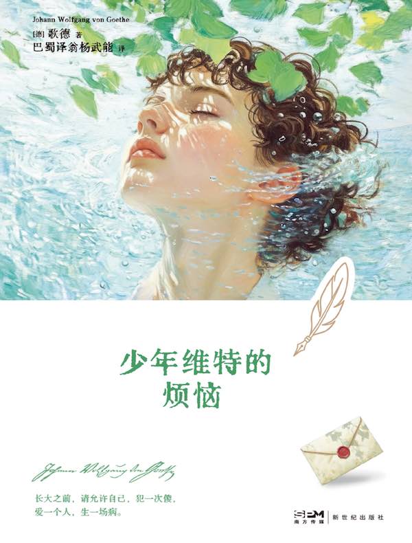少年维特的烦恼