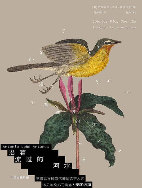 沿着流过的河水 沿着流过的河水