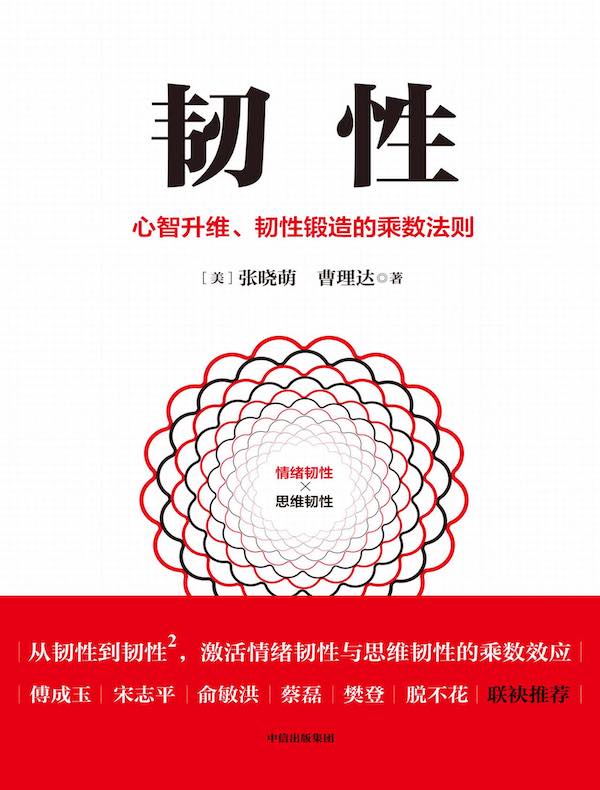 韧性：心智升维、韧性锻造的乘数法则