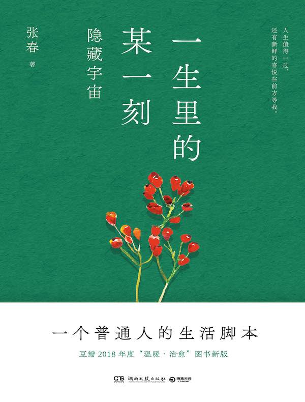 一生里的某一刻：隐藏宇宙