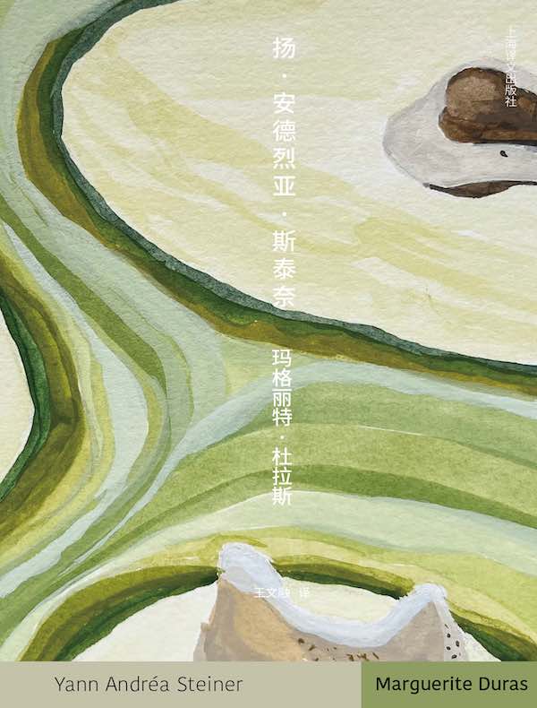 扬·安德烈亚·斯泰奈