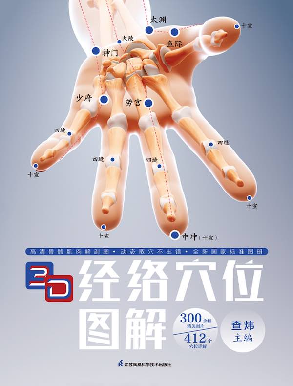 3D经络穴位图解