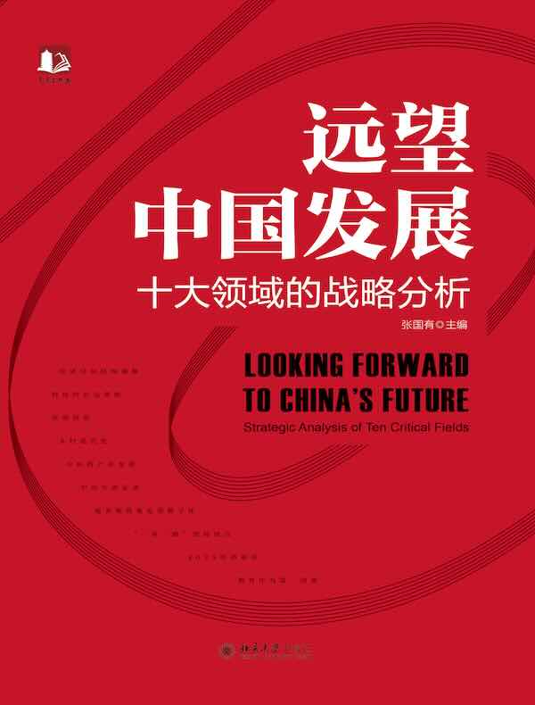 远望中国发展：十大领域的战略分析