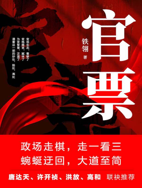 官票：一个落选县长的绝地反击