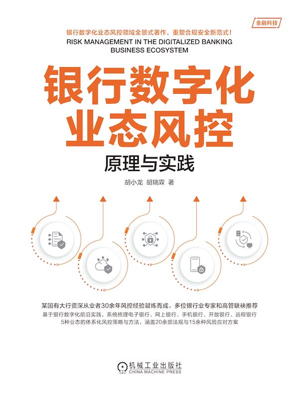 银行数字化业态风控：原理与实践