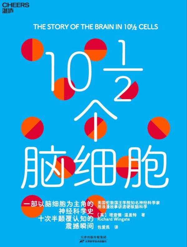 10½个脑细胞