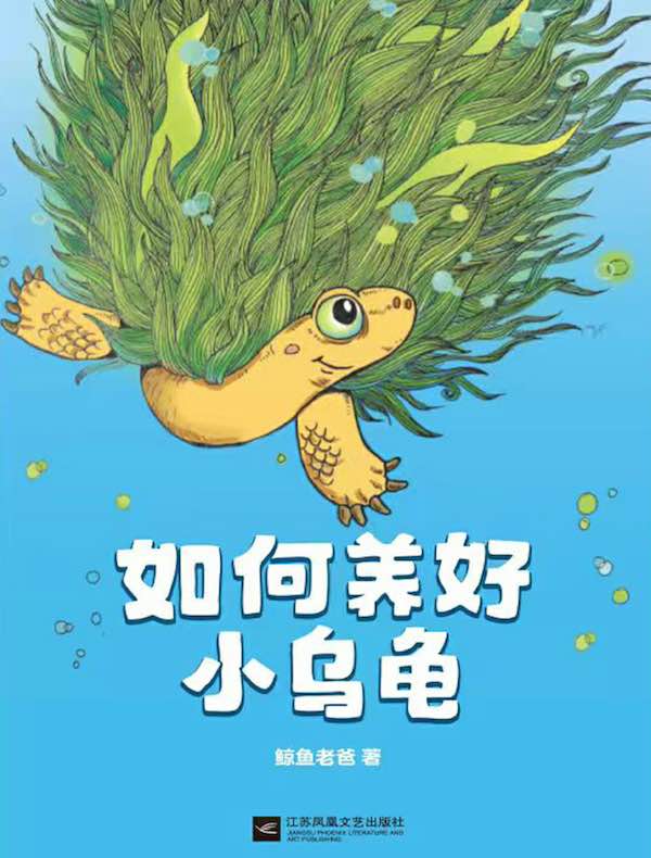 如何养好小乌龟