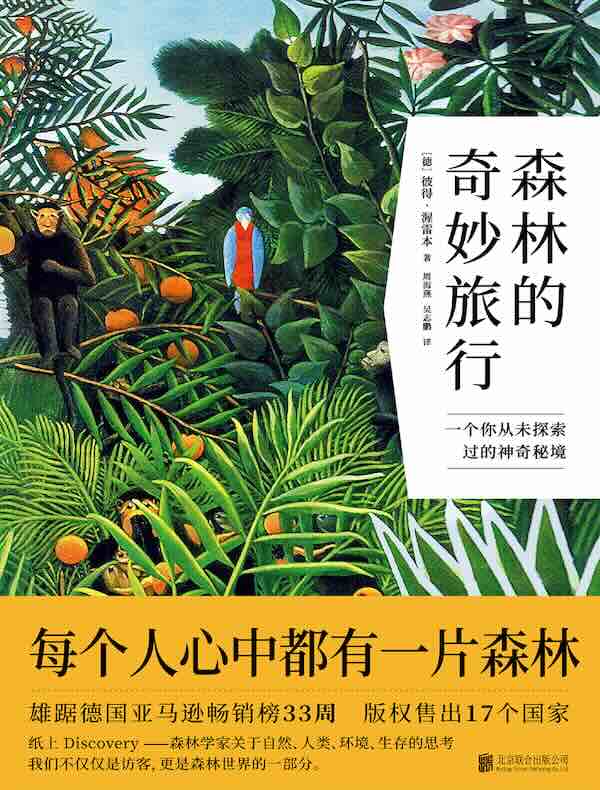 森林的奇妙旅行