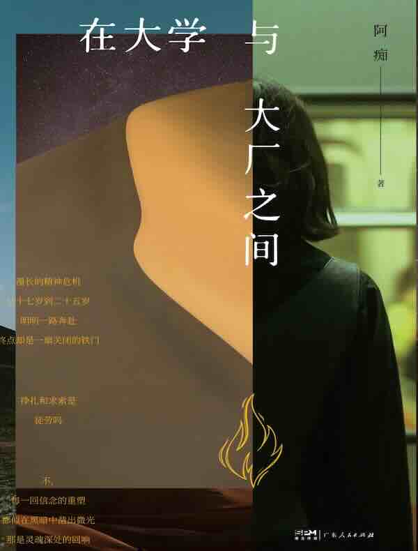 在大学与大厂之间