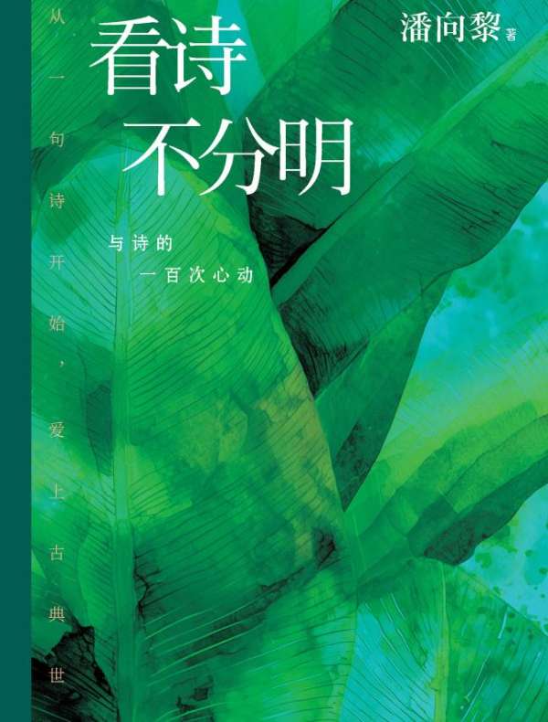看诗不分明